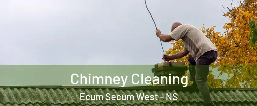  Chimney Cleaning Ecum Secum West - NS