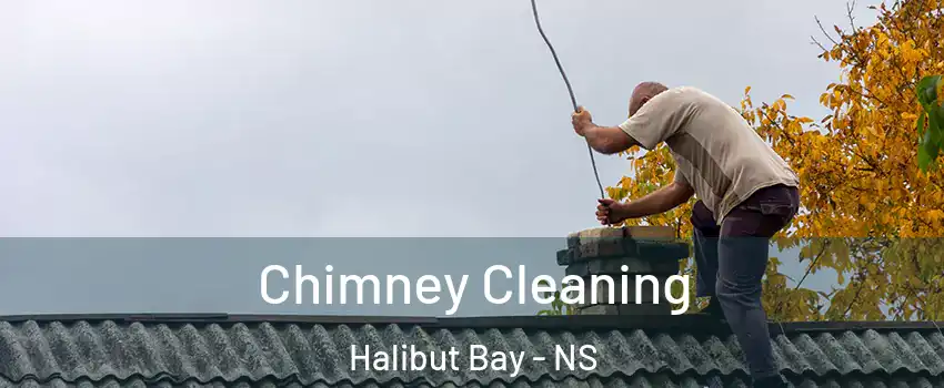  Chimney Cleaning Halibut Bay - NS