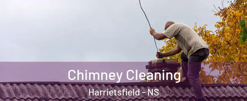  Chimney Cleaning Harrietsfield - NS