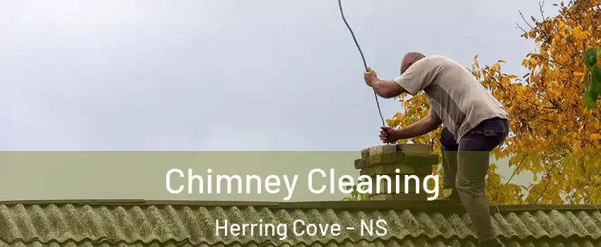  Chimney Cleaning Herring Cove - NS