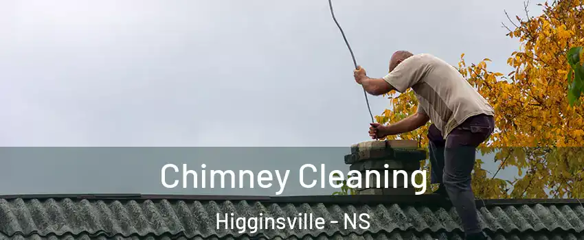  Chimney Cleaning Higginsville - NS