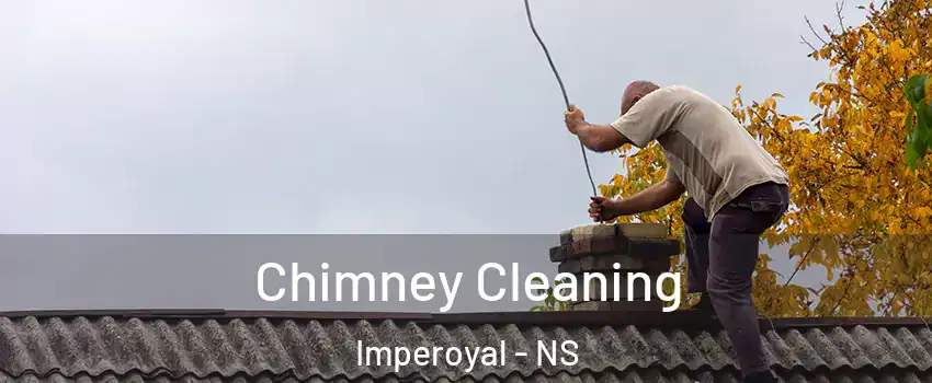 Chimney Cleaning Imperoyal - NS