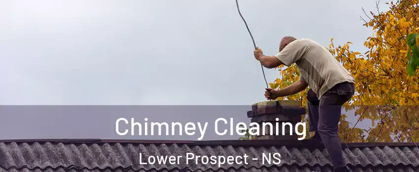  Chimney Cleaning Lower Prospect - NS