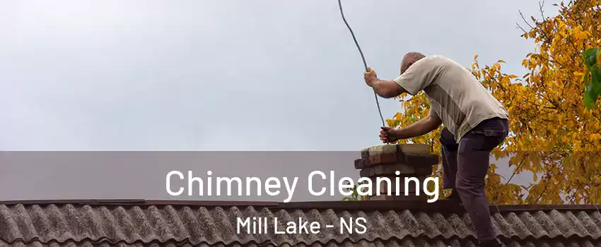  Chimney Cleaning Mill Lake - NS