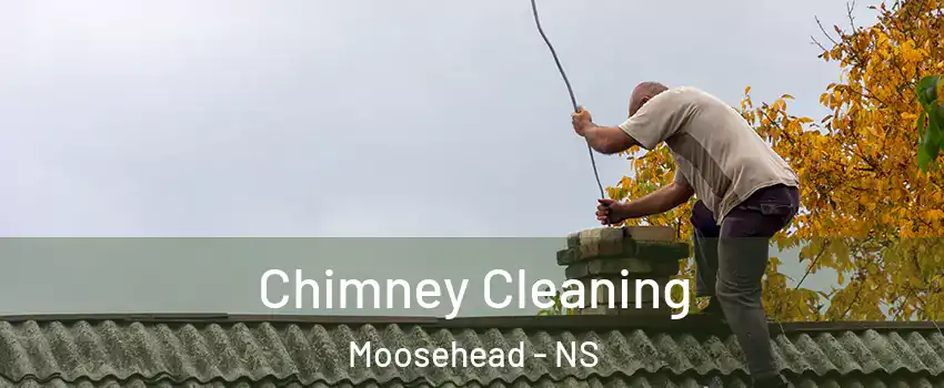  Chimney Cleaning Moosehead - NS