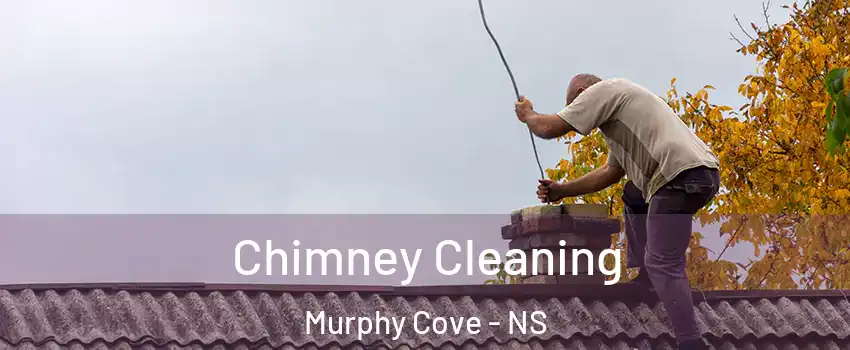 Chimney Cleaning Murphy Cove - NS