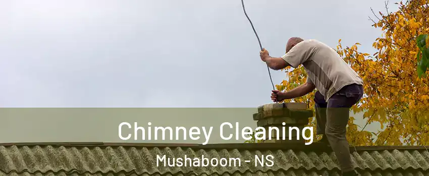  Chimney Cleaning Mushaboom - NS