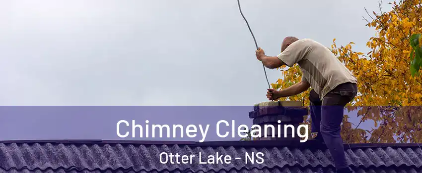  Chimney Cleaning Otter Lake - NS