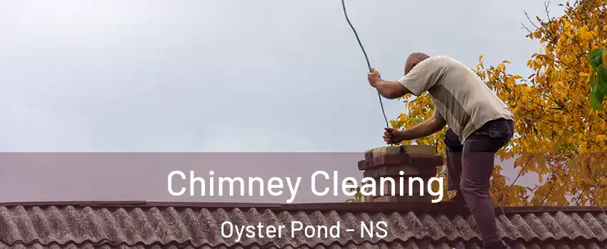  Chimney Cleaning Oyster Pond - NS