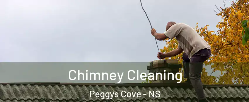  Chimney Cleaning Peggys Cove - NS