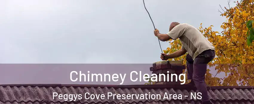  Chimney Cleaning Peggys Cove Preservation Area - NS