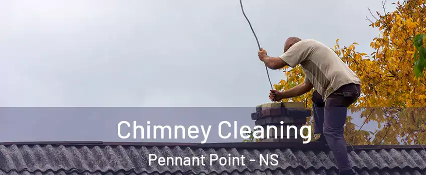  Chimney Cleaning Pennant Point - NS