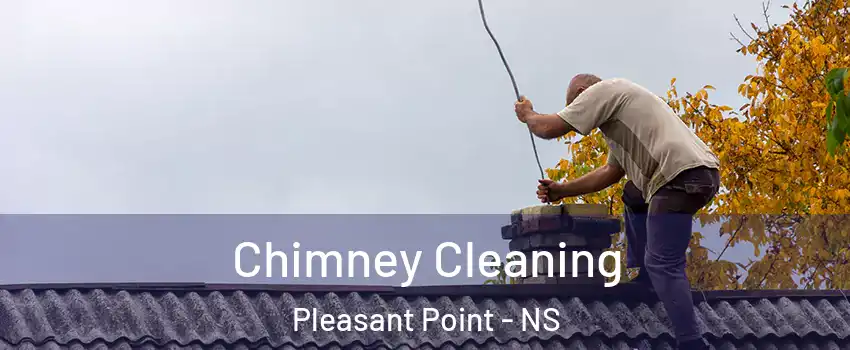  Chimney Cleaning Pleasant Point - NS