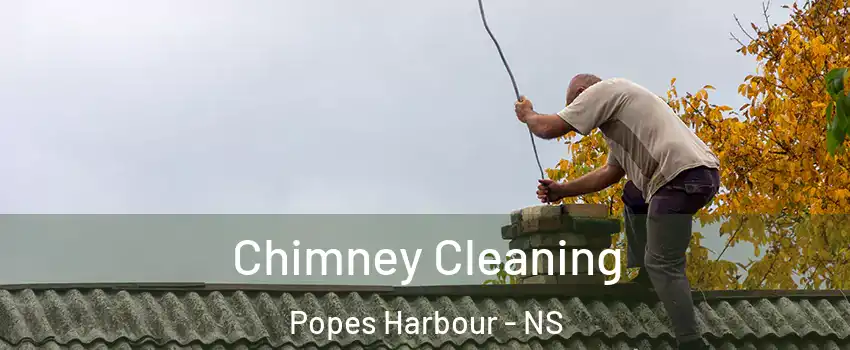  Chimney Cleaning Popes Harbour - NS