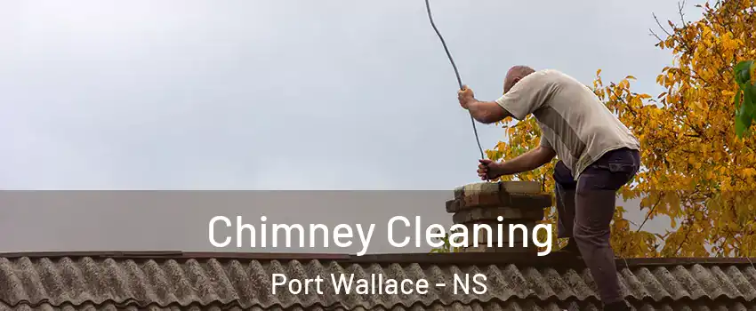  Chimney Cleaning Port Wallace - NS