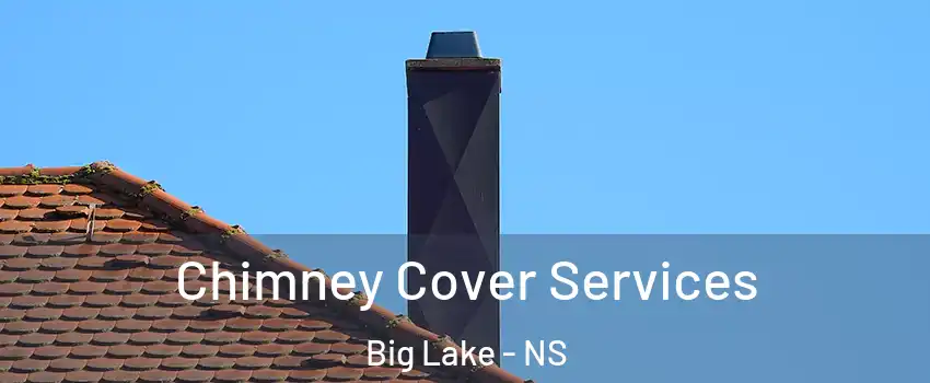  Chimney Cover Services Big Lake - NS