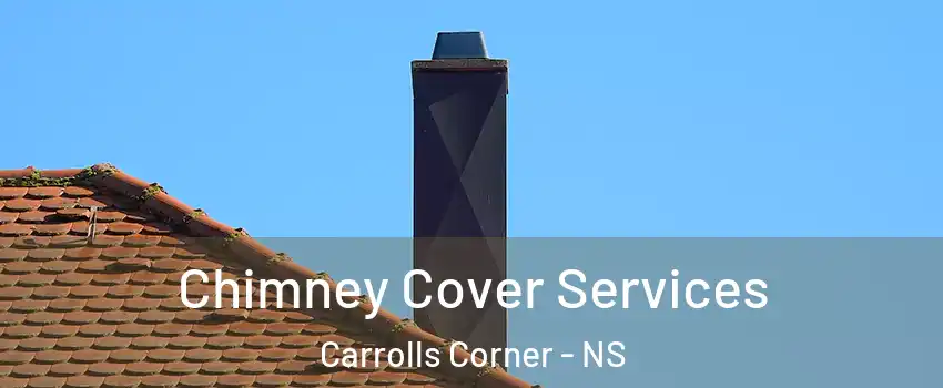  Chimney Cover Services Carrolls Corner - NS