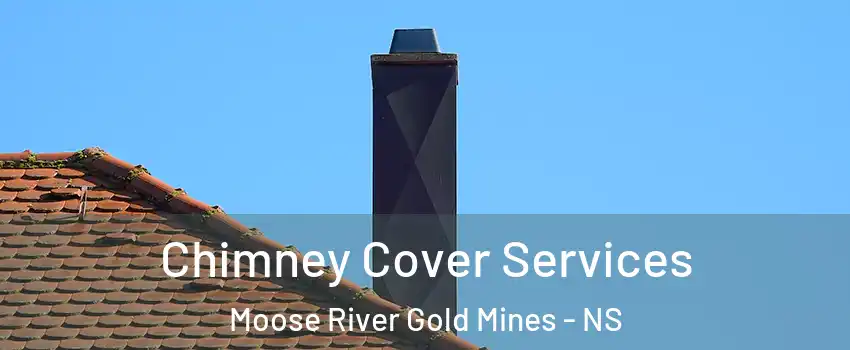  Chimney Cover Services Moose River Gold Mines - NS