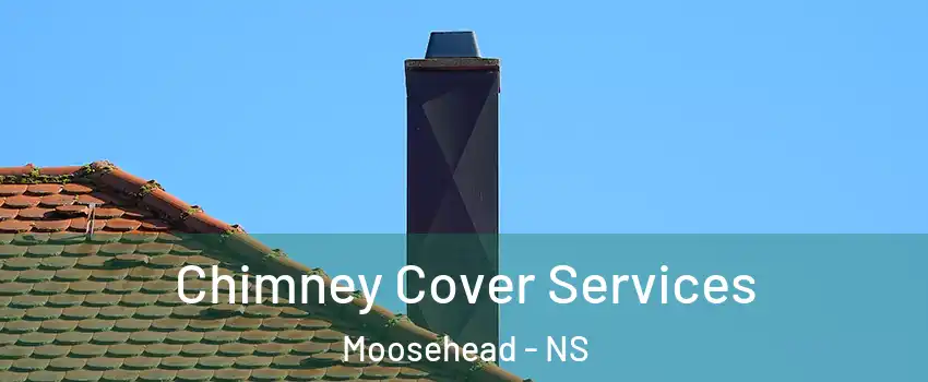  Chimney Cover Services Moosehead - NS