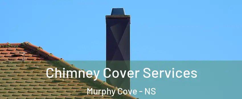  Chimney Cover Services Murphy Cove - NS