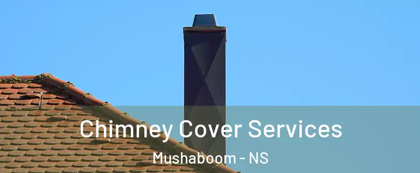  Chimney Cover Services Mushaboom - NS