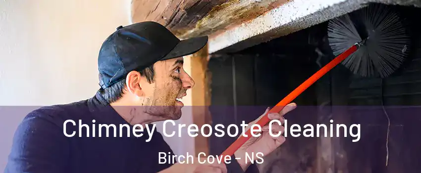  Chimney Creosote Cleaning Birch Cove - NS