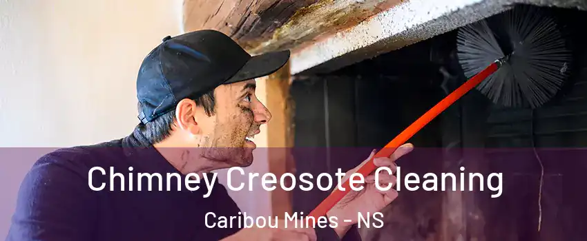  Chimney Creosote Cleaning Caribou Mines - NS