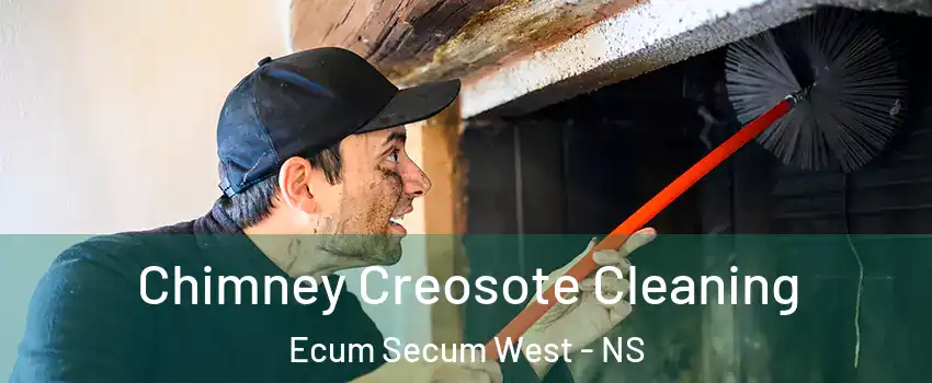  Chimney Creosote Cleaning Ecum Secum West - NS