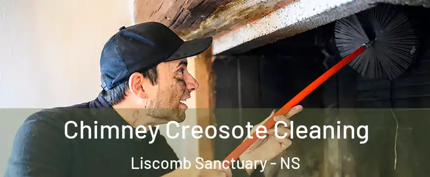  Chimney Creosote Cleaning Liscomb Sanctuary - NS