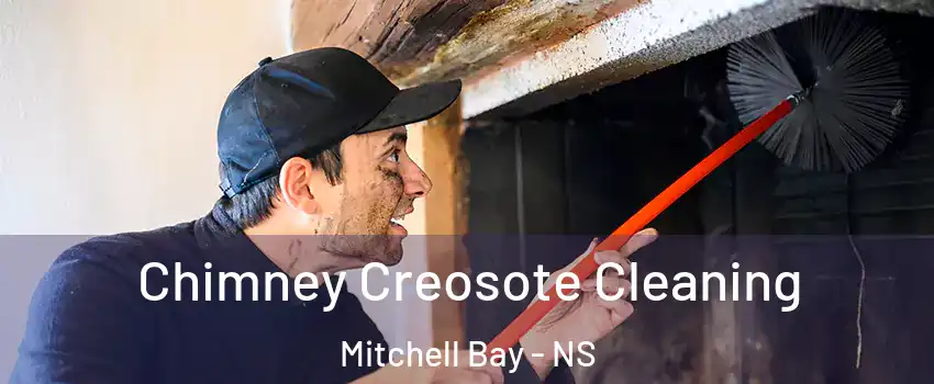  Chimney Creosote Cleaning Mitchell Bay - NS