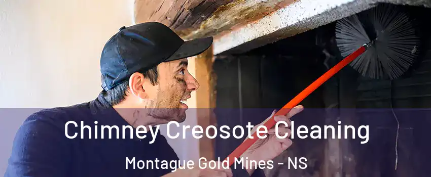  Chimney Creosote Cleaning Montague Gold Mines - NS