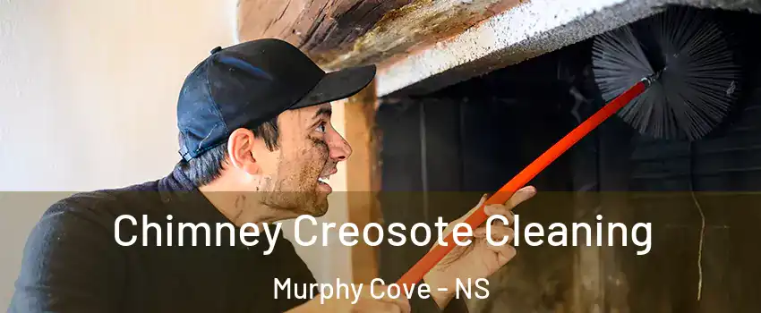  Chimney Creosote Cleaning Murphy Cove - NS