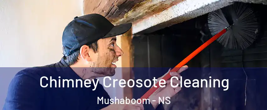  Chimney Creosote Cleaning Mushaboom - NS