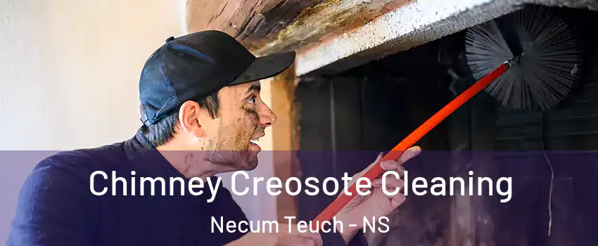  Chimney Creosote Cleaning Necum Teuch - NS