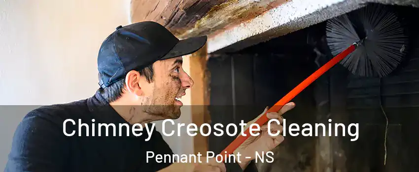  Chimney Creosote Cleaning Pennant Point - NS