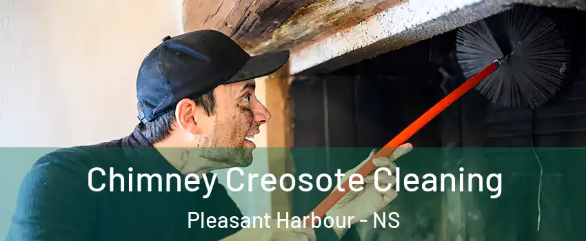  Chimney Creosote Cleaning Pleasant Harbour - NS