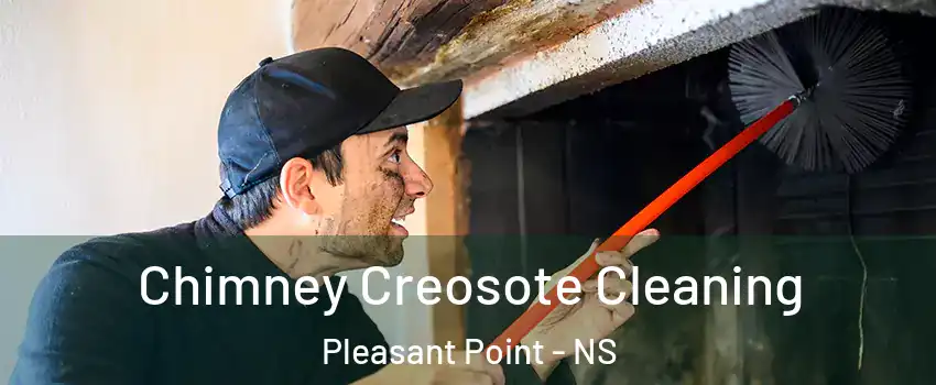  Chimney Creosote Cleaning Pleasant Point - NS