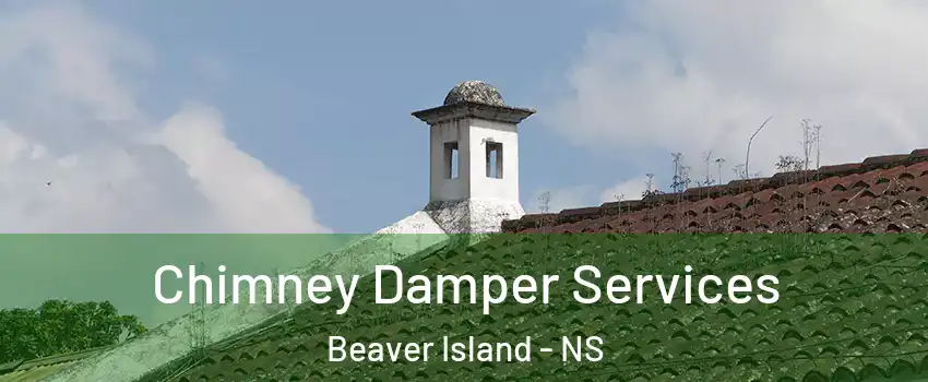  Chimney Damper Services Beaver Island - NS