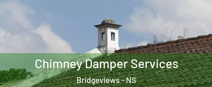  Chimney Damper Services Bridgeviews - NS