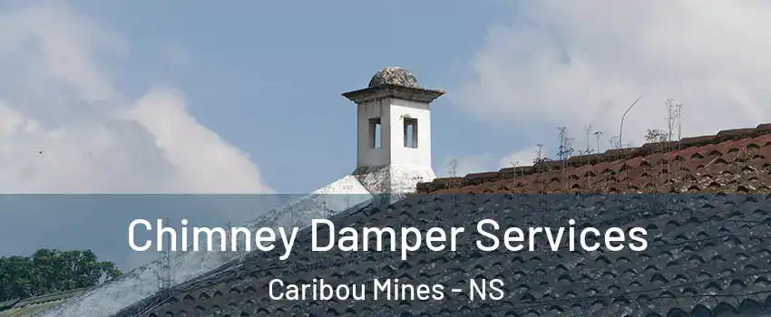  Chimney Damper Services Caribou Mines - NS