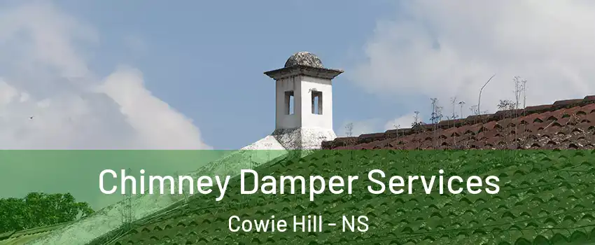  Chimney Damper Services Cowie Hill - NS