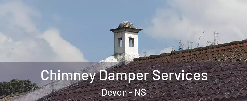 Chimney Damper Services Devon - NS