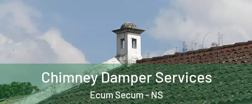  Chimney Damper Services Ecum Secum - NS