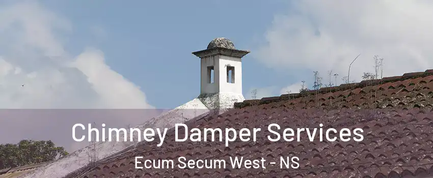  Chimney Damper Services Ecum Secum West - NS