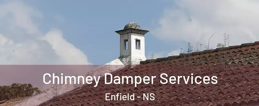  Chimney Damper Services Enfield - NS