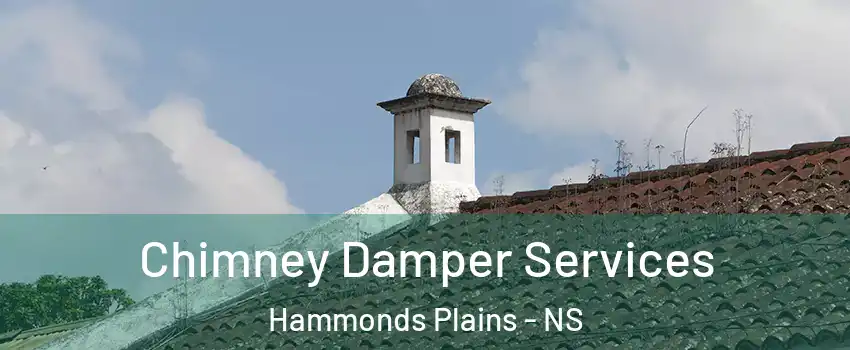  Chimney Damper Services Hammonds Plains - NS