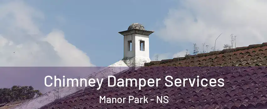  Chimney Damper Services Manor Park - NS