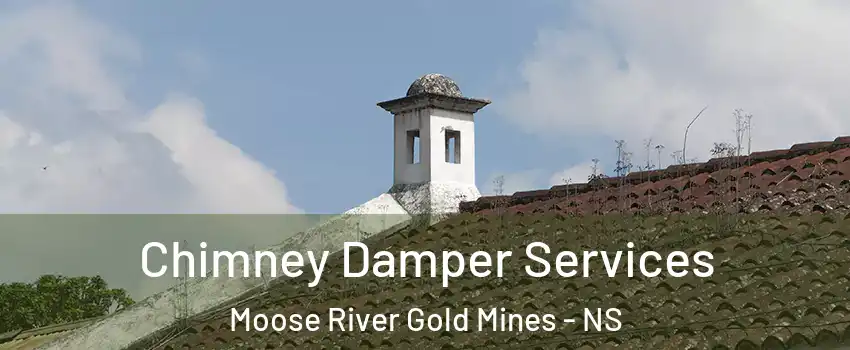  Chimney Damper Services Moose River Gold Mines - NS