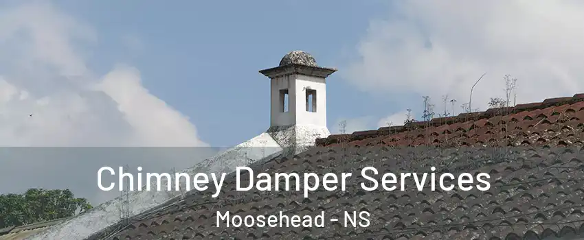  Chimney Damper Services Moosehead - NS
