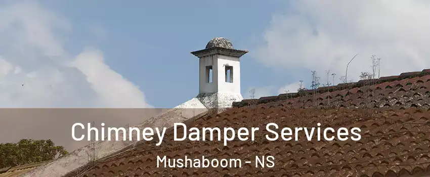  Chimney Damper Services Mushaboom - NS